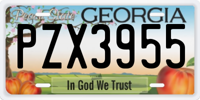 GA license plate PZX3955
