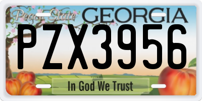 GA license plate PZX3956
