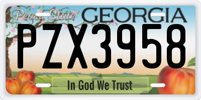 GA license plate PZX3958