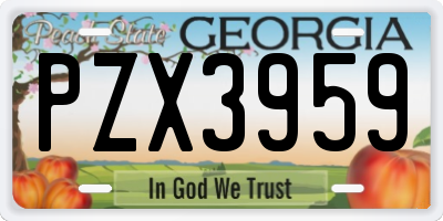 GA license plate PZX3959