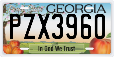 GA license plate PZX3960