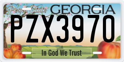 GA license plate PZX3970