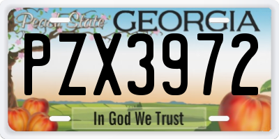GA license plate PZX3972