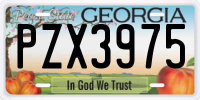 GA license plate PZX3975