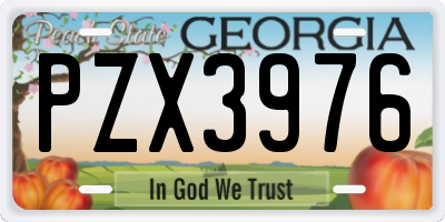 GA license plate PZX3976