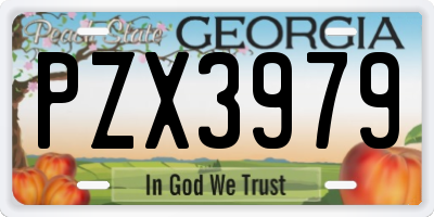 GA license plate PZX3979