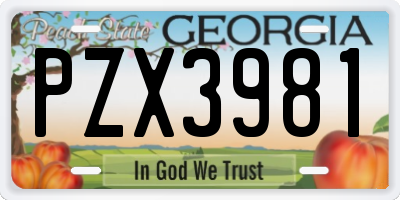GA license plate PZX3981