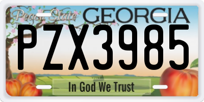GA license plate PZX3985