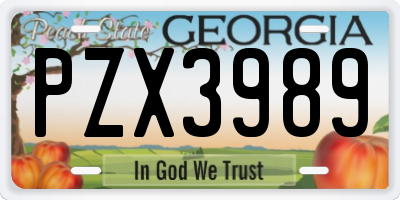 GA license plate PZX3989