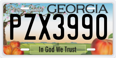 GA license plate PZX3990