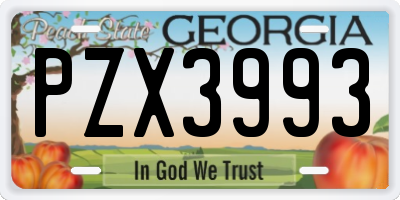 GA license plate PZX3993