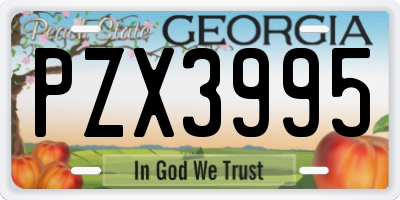 GA license plate PZX3995