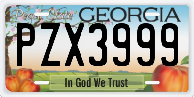 GA license plate PZX3999