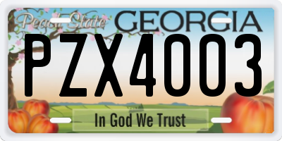 GA license plate PZX4003