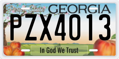 GA license plate PZX4013