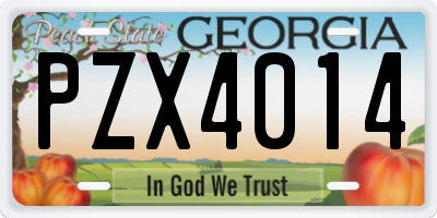 GA license plate PZX4014