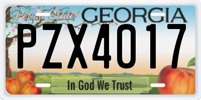 GA license plate PZX4017
