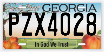 GA license plate PZX4028