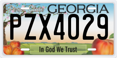 GA license plate PZX4029