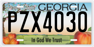 GA license plate PZX4030