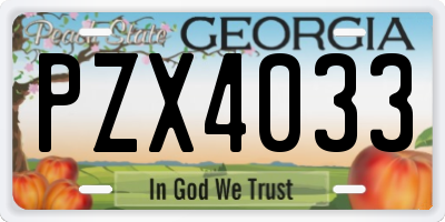 GA license plate PZX4033