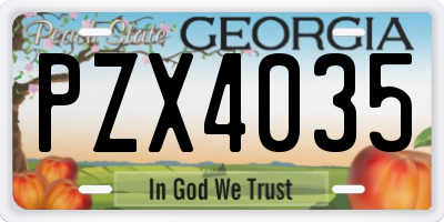 GA license plate PZX4035