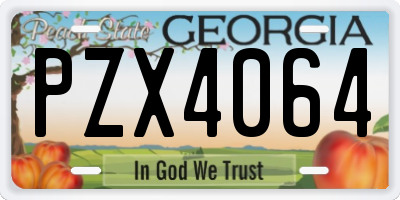 GA license plate PZX4064