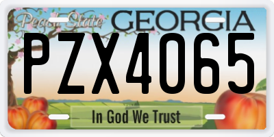 GA license plate PZX4065