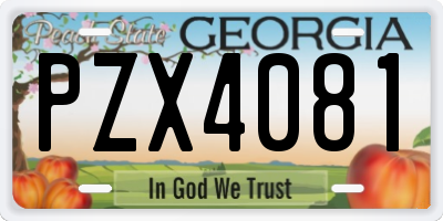 GA license plate PZX4081