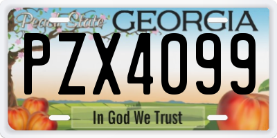 GA license plate PZX4099