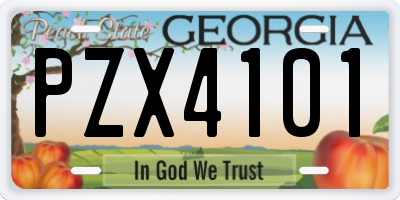 GA license plate PZX4101