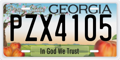 GA license plate PZX4105