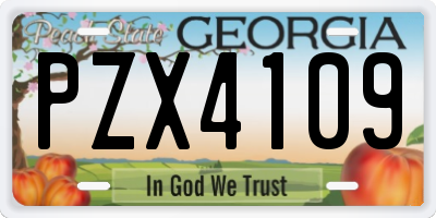 GA license plate PZX4109