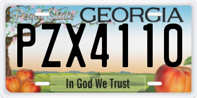 GA license plate PZX4110