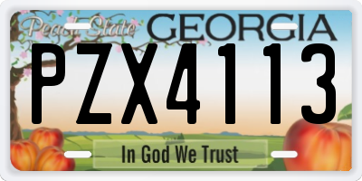 GA license plate PZX4113