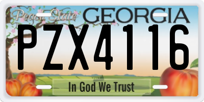 GA license plate PZX4116