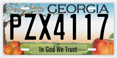 GA license plate PZX4117