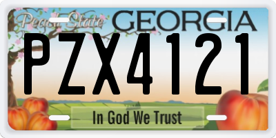 GA license plate PZX4121