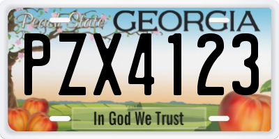 GA license plate PZX4123