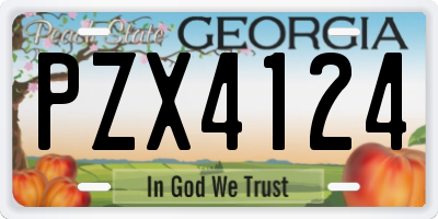 GA license plate PZX4124