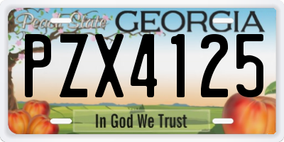 GA license plate PZX4125
