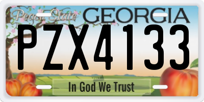 GA license plate PZX4133