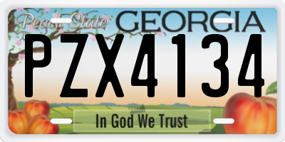 GA license plate PZX4134