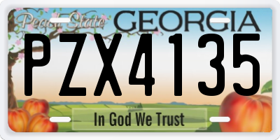 GA license plate PZX4135