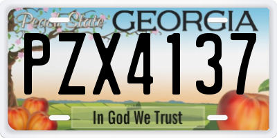 GA license plate PZX4137