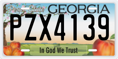 GA license plate PZX4139