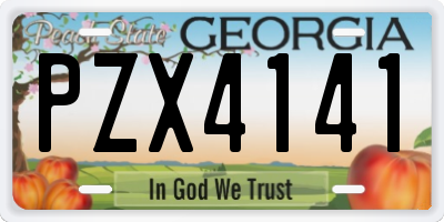 GA license plate PZX4141