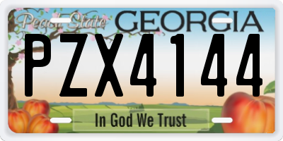 GA license plate PZX4144
