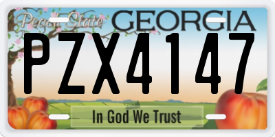 GA license plate PZX4147
