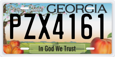 GA license plate PZX4161